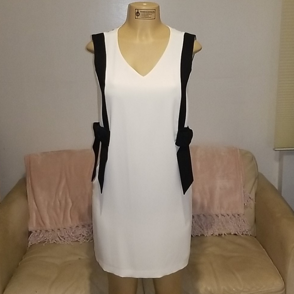 CeCe Colorblock V-Neck dress